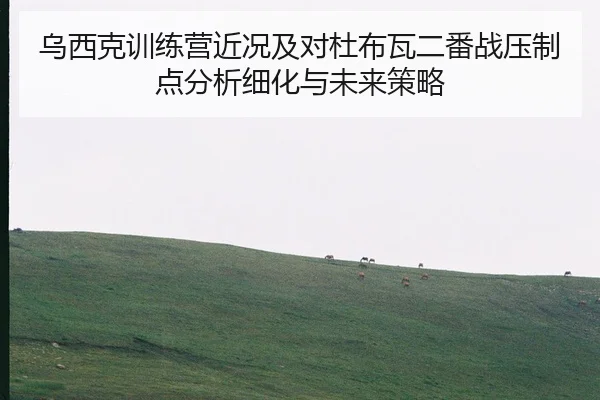 wu-xi-ke-xun-lian-ying-jin-kuang-ji-dui-du-bu-wa-er-fan-zhan-ya-zhi-dian-fen-xi-xi-hua-yu-wei-lai-ce-lve-2-680.jpg