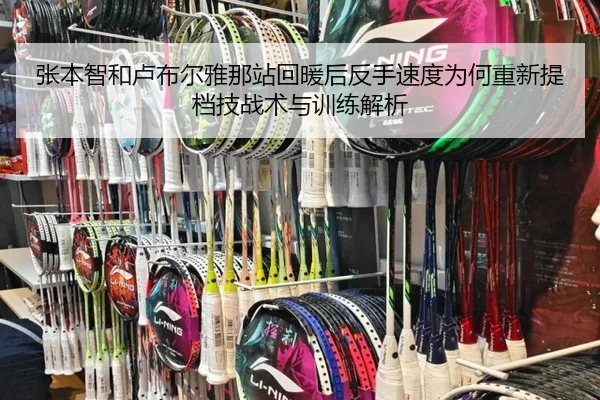 张本智和卢布尔雅那站回暖后反手速度为何重新提档技战术与训练解析